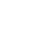 Icono